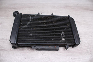 Kühler Wasserkühler Radiator Hyosung GT 650 S GT650S 05-21