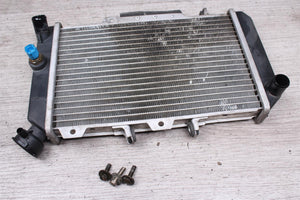 Wasserkühler Kühler Radiator Hyosung GT 650 R GT650R 05-08  Hyosung   