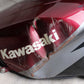 Tank Kraftstofftank Benzintank Kawasaki ZX-9R ZX900B 94-97  Kawasaki   