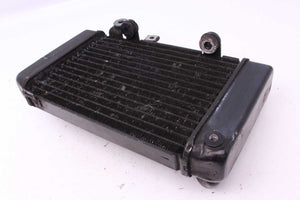 Wasserkühler Radiator Kühler Honda XL 650 V Transalp RD10 00-03  Honda   