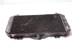 Wasserkühler Radiator Kühler Yamaha FZR 600 3HE 89-93  Yamaha   