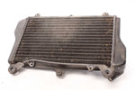 Wasserkühler Radiator Kawasaki GPZ 900 R ZX900A/1-6 84-89  Kawasaki   