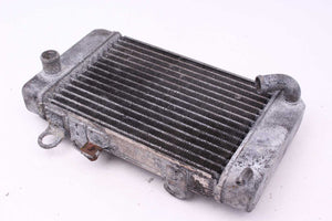 Wasserkühler Radiator Kühler Honda XL 650 V Transalp RD10 00-03  Honda   