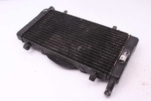 Wasserkühler Radiator Kühler Honda CBR 1000 F SC21 87-88  Honda   