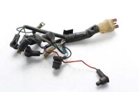 Wiring harness Wiring harness in front above Unbekannt Konvolut