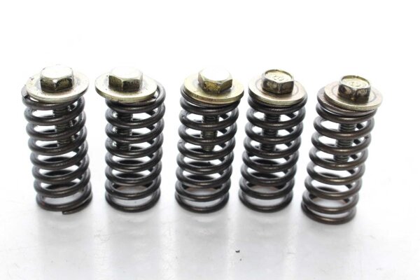 Konvolut Federn Unbekannt Konvolut