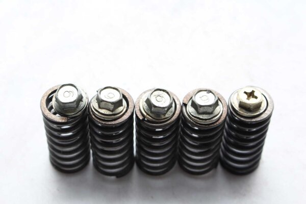 Mycket fjädrar Unbekannt Konvolut