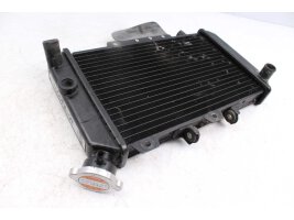 Wasserkühler Kühler Hyosung GT 650 S GT650S 05-08