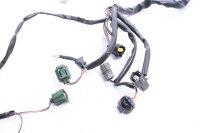 Pääjohtosarja Aprilia SL 1000 Falco ZD4PA 99-04