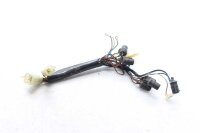 Arnés de cableado de iluminación de...