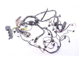 Mazo de cables principal BMW R 1100 RT 259 0413 96-01