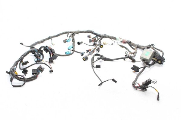 Pääjohtosarja Triumph Sprint ST T695AB 99-04