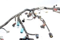 Pääjohtosarja Triumph Sprint ST T695AB 99-04