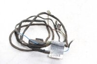 ledningsnät ledningsnät BMW F 650 GS R13 0172 00-03