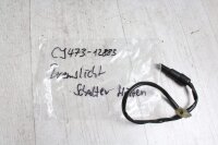 Bremslichtschalter Fußbremse hinten Kawasaki Zephyr 1100 ZRT10A 92-98