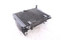 Wasserkühler Kühler Kawasaki GPZ 1000 RX ZXT00A...