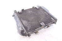 Wasserkühler Kühler Kawasaki GPZ 1000 RX ZXT00A...