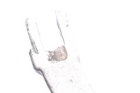 Seitenständer Ständer Stütze Kawasaki ZX-10 ZXT00B 88-90