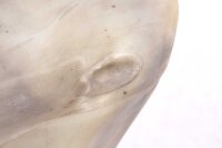 paisuntasäiliön vedenjäähdytin Kawasaki GPZ 1000 RX ZXT00A 86-87