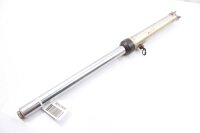 Gamba della forcella a destra Unbekannt Konvolut