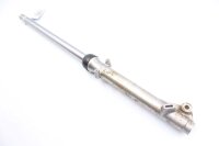 Fork leg, left Unknown Convolute