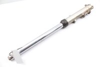 Gaffelben till höger Unbekannt Konvolut