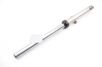 Gamba della forcella a destra Unbekannt Konvolut