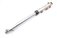 Gamba della forcella a destra Unbekannt Konvolut