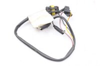 Bakljus ledningsnät Ducati ST4S ST4S/01 01-03