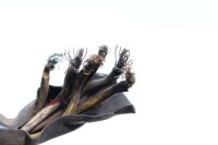 tasasuuntaajan säädin Kawasaki GPZ 1100 GP KZT10B-A 81-82