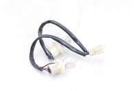 Achterlicht kabelboom Kawasaki GPZ 1000 RX ZXT00A 86-87