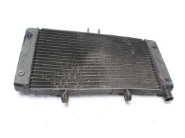 Radiatore del radiatore dellacqua Suzuki GSF 400 Bandit GK75B 91-96