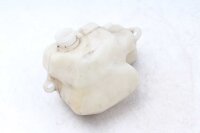 Paisuntasäiliön vedenjäähdytin...