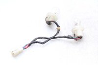 Faisceau de câblage de feu arrière Kawasaki...