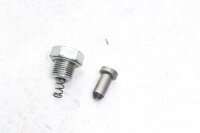Engine screws Kawasaki ZL 900 Eliminator ZL2 85-86