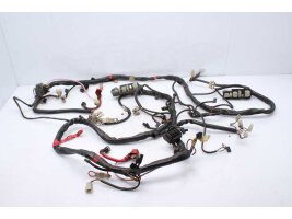 Wiring harness main wiring harness BMW F 650 Funduro 0169...