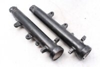 Haarukkajalka Tuntematon kierteinen