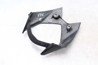 Cupolino Triumph Street Triple 675 R STRTR-R/13 13-17