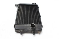 Oljekylare Aprilia SL 1000 Falco ZD4PA 99-04