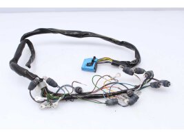 Wiring harness wiring harness BMW R 1100 S 259 0422 98-05