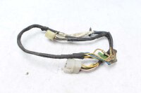 Forlygte ledningsnet Kawasaki Unbekannt