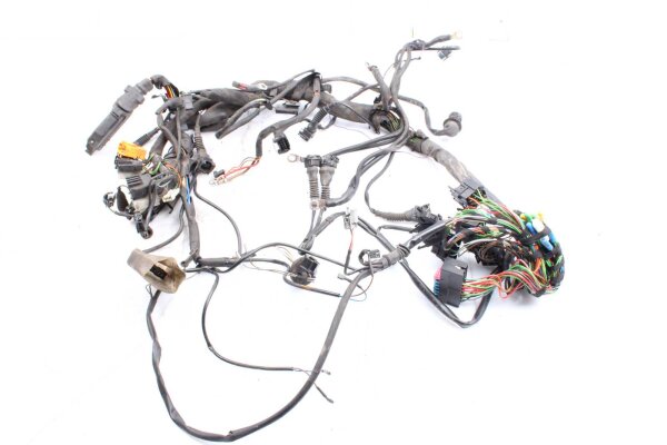 Ledningsnet hovedledningsnet BMW R 850 R 259R 95-06