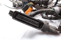Ledningsnet hovedledningsnet BMW R 850 R 259R 95-06