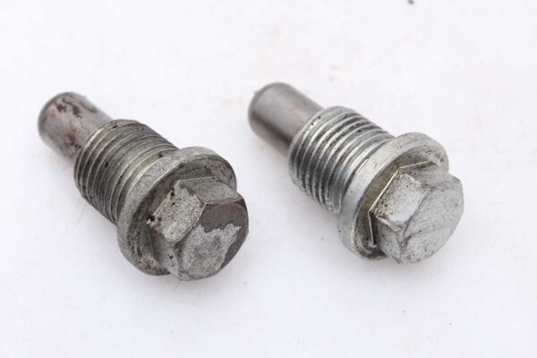 Lote mixto de tornillos. Kawasaki GPZ 750 Unitrak ZX750A3 83-85