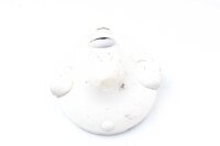 Forlygtehus Kawasaki Unbekannt