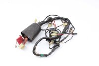 Wiring harness wiring harness Kawasaki GPZ 900 R...