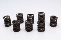 Ventilfjädrar kamaxlar Kawasaki Z 1000 A1 Z1F/A 77-80