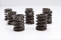 Ventilfjädrar kamaxlar Kawasaki Z 1000 A1 Z1F/A 77-80