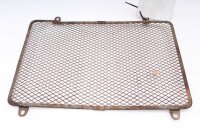 Rejilla protectora del radiador Rejilla protectora...