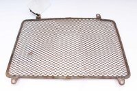 Rejilla protectora del radiador Rejilla protectora...